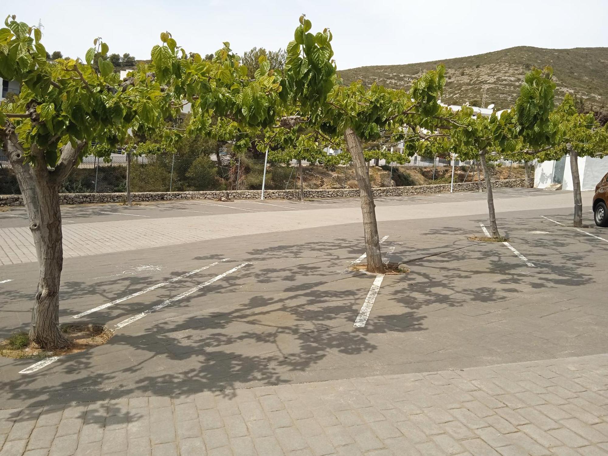 Apartamentos Tierra De Irta 3000 Peñíscola Dış mekan fotoğraf